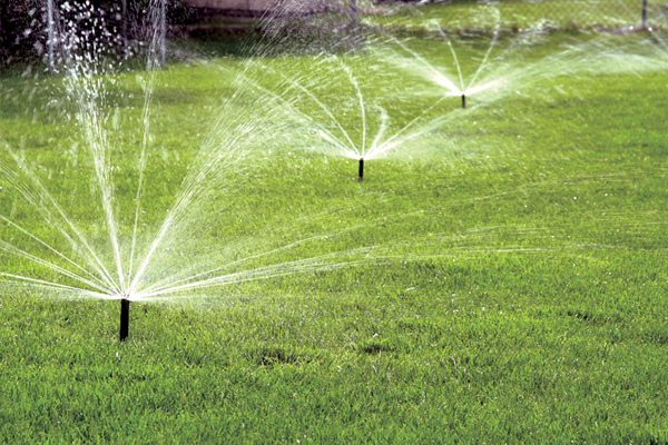 sprinkle irrigation